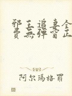 邪王追妻全文免费无弹窗正版