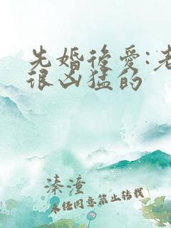 先婚后爱:老公很凶猛的