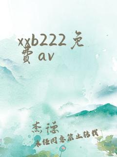 xxb222免费av