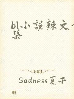 bl小说辣文合集