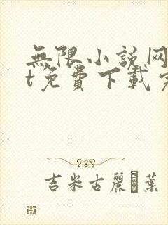 无限小说网txt免费下载完结全本