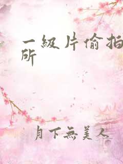 一级片偷拍上厕所