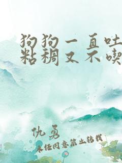 狗狗一直吐白沫粘稠又不吃东西怎么办