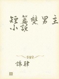 短篇双男主虐文小说