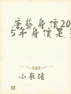 唐艺身价2025年身价是多少亿