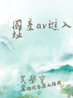 国产av进入网址