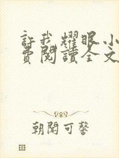 许我耀眼小说免费阅读全文最新章节