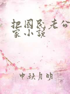 把国民老公带回家小说