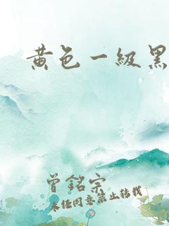 黄色一级黑人