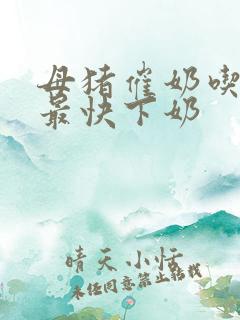 母猪催奶吃什么最快下奶