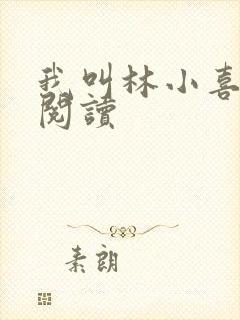 我叫林小喜全文阅读