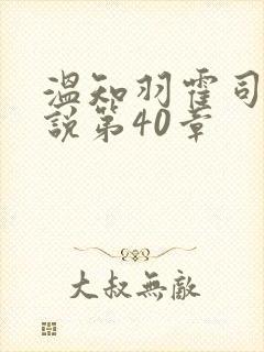 温知羽霍司砚小说第40章