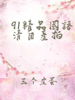 91精品国语高清自产拍