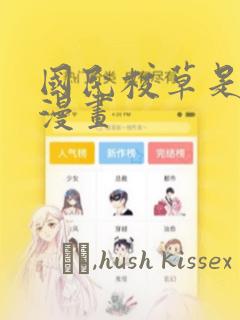 国民校草是女生漫画：结局+番外