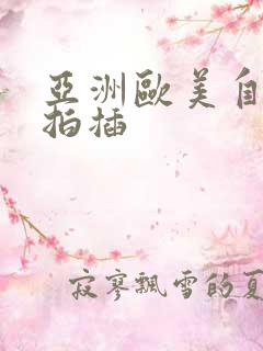 亚洲欧美自拍偷拍插