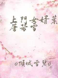 上门女婿叶凡与唐若雪