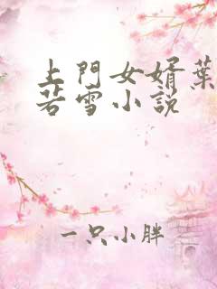 上门女婿叶凡唐若雪小说