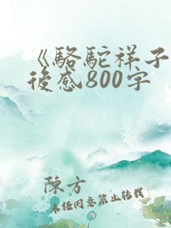 《骆驼祥子》读后感800字