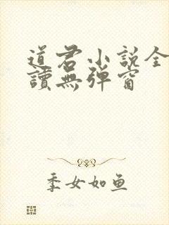 道君小说全文阅读无弹窗