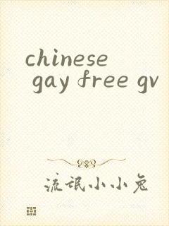 chinese gay free gv