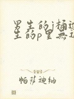 男生的j桶进女生的p里无遮挡