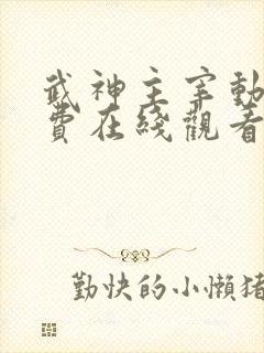 武神主宰动漫免费在线观看