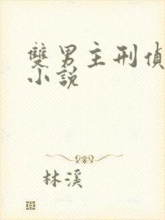 双男主刑侦悬疑小说