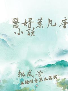 医婿叶凡唐若雪 小说