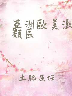 亚洲欧美激情另类区