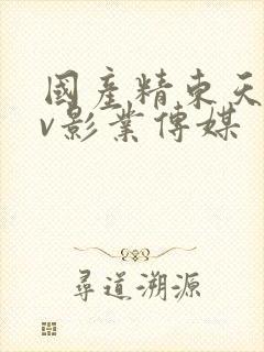 国产精东天美av影业传媒