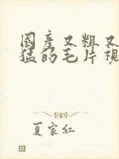 国产又粗又硬又猛的毛片视频