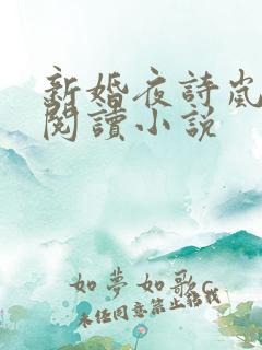 新婚夜诗岚全文阅读小说