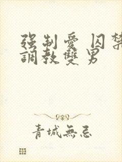 强制爱 囚禁 调教双男