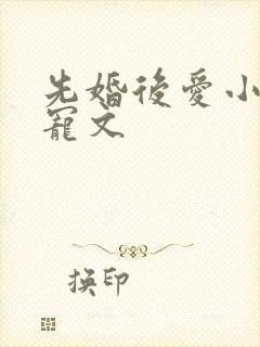 先婚后爱小说甜宠文