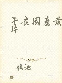 午夜国产黄色论片