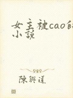 女主被cao的小说