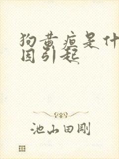 狗黄疸是什么原因引起