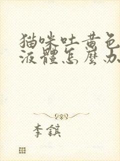 猫咪吐黄色泡沫液体怎么办