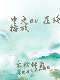 中文av 在线播放