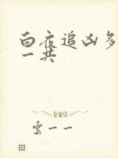 白夜追凶多少集一共