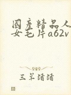 国产精品人妻熟女毛片a62v久久