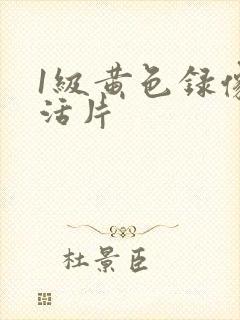 1级黄色录像生活片