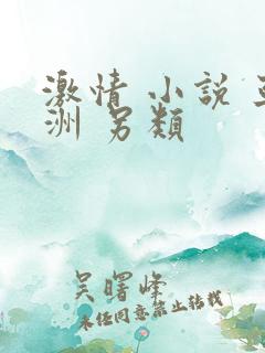 激情 小说 亚洲 另类