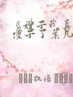 《嫂子我真不是傻子了叶凡》