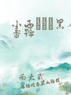 小西まりえ黑人番号