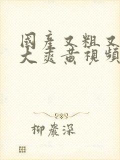 国产又粗又硬又大爽黄视频