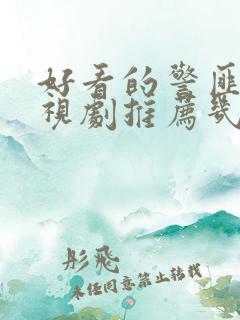 好看的警匪片电视剧推荐几部