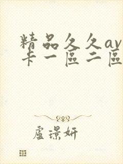 精品久久av不卡一区二区