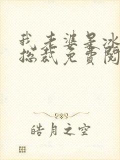 我老婆是冰山女总裁免费阅读