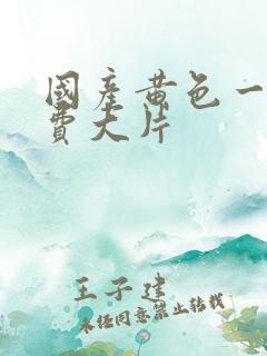 国产黄色一级免费大片